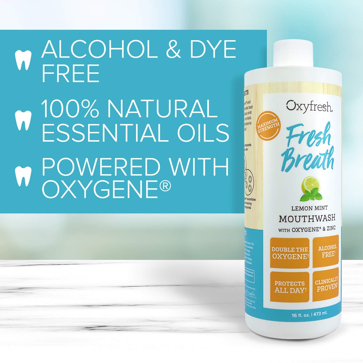 Oxyfresh Fresh Breath Lemon Mint Mouthwash | Award-Winning, Dentist-Recommended Bad Breath Mouthwash - Alcohol & Fluoride Free w/Aloe & Natural Essential Oils (1-16 oz Bottle) : Beauty
