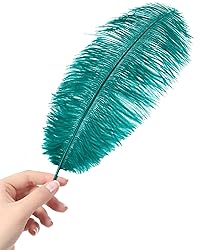 VIJIV Natural Black Large Ostrich Feathers Bulk 10