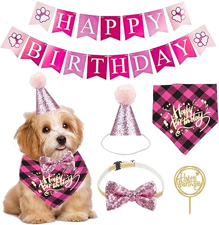 puppy's first birthday party supplies