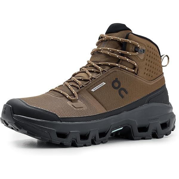 Men's shoes On M Cloudroam Waterproof Ice/ Flare (3MD30071515