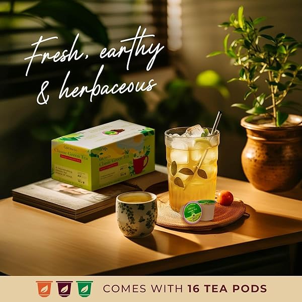 GYA TEA CO CLASSIC GREEN TEA POD (16 CT) – MILDLY CAFFEINATED TEA WITH MELLOW FLAVOR – KICKSTART THE DAY FOR CALMING & RELAXING