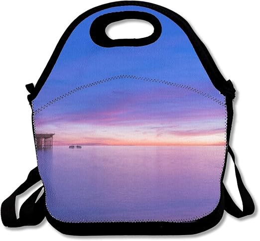 brighton luggage amazon