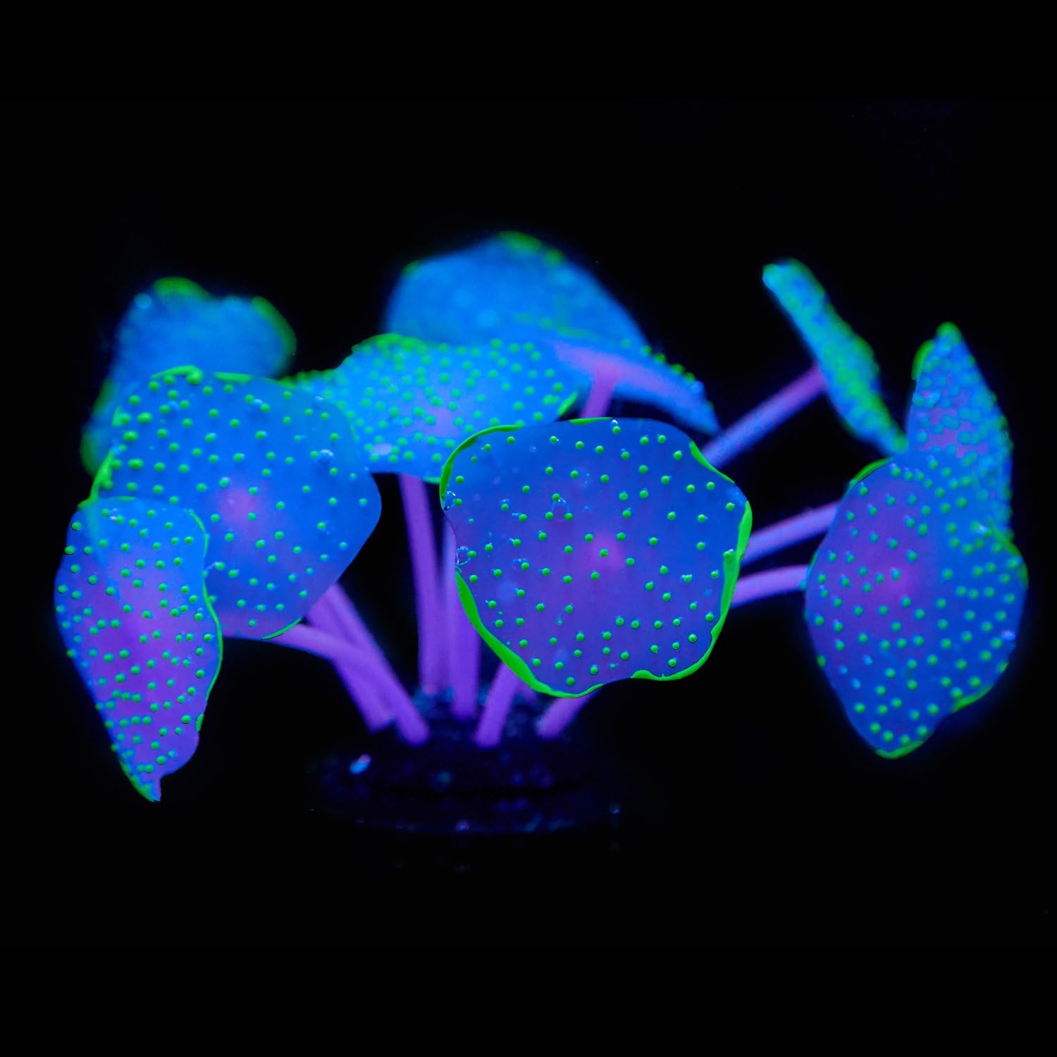 Uniclife Coral Plant Decorations Glowing Artificial Ornament for Fish Tank Aquarium Green, Ball shape - Image 4