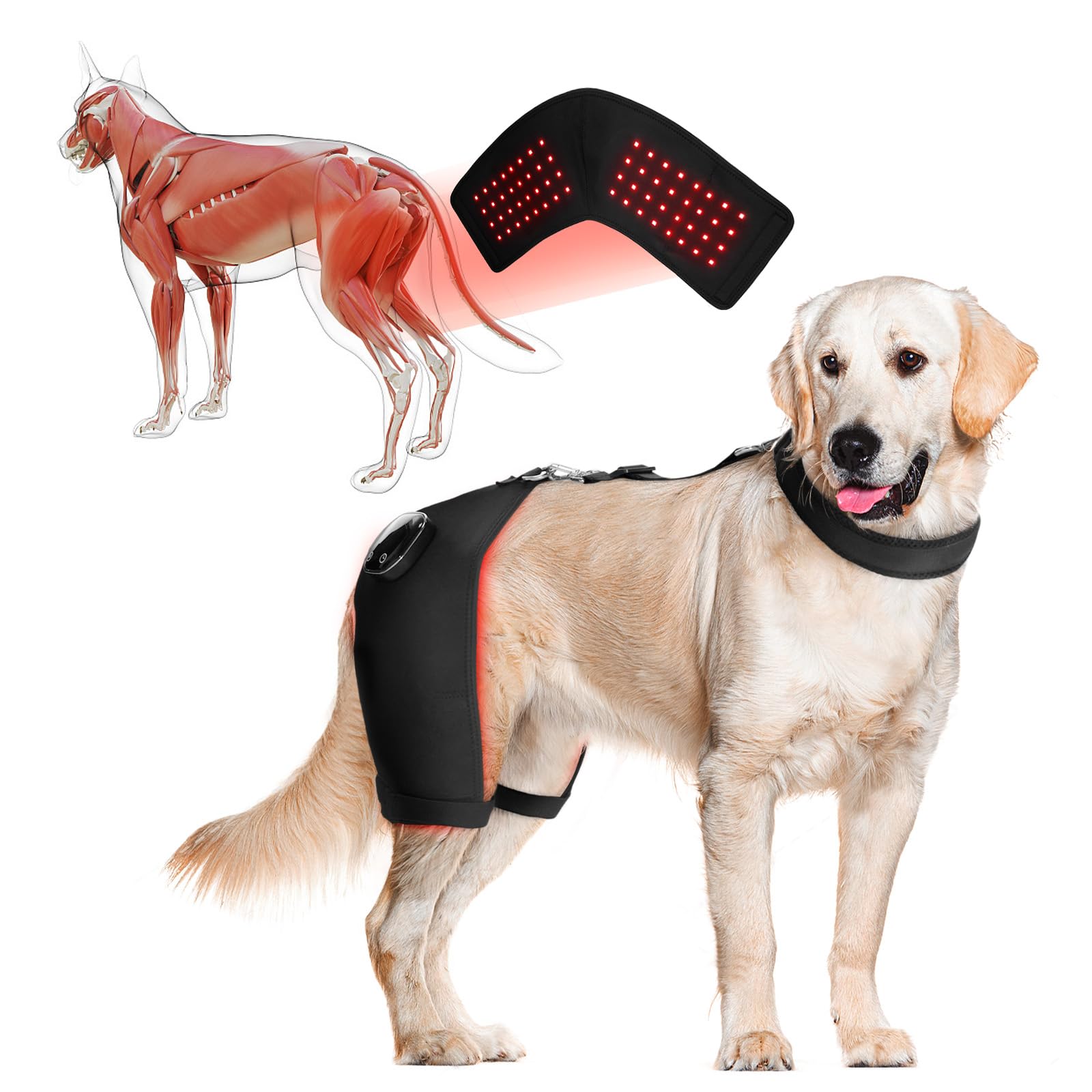 Photo 1 of HAGGEMI Dog Hip Brace with Red Infrared Light Therapy – Pain Relief for Arthritis, Hip Dysplasia, Spine Issues & Muscle Recovery, Portable & Cordless, Patent Pending(Male Dog, XL)