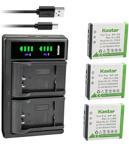 Amazon.com : Pentax D-BC8 (A) Battery Charger for the DL18