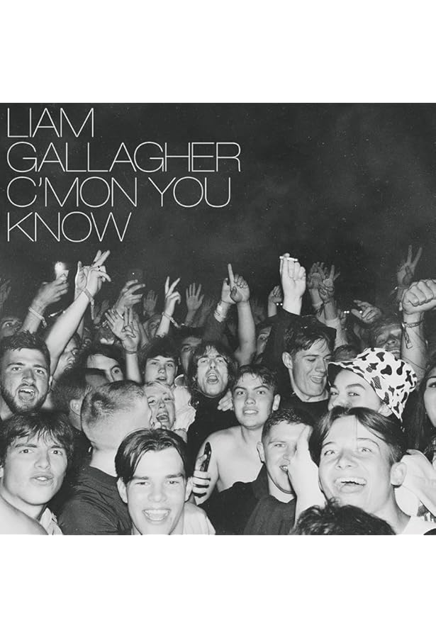 Amazon.com: Liam Gallagher & John Squire: CDs & Vinyl