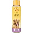Burt's Bees for Pets Calming Dog Shampoo with Lavender and Green Tea, 95% Natural Origin Formulas, Soothing Canine Cleanser - Gentle Wash, 16 oz