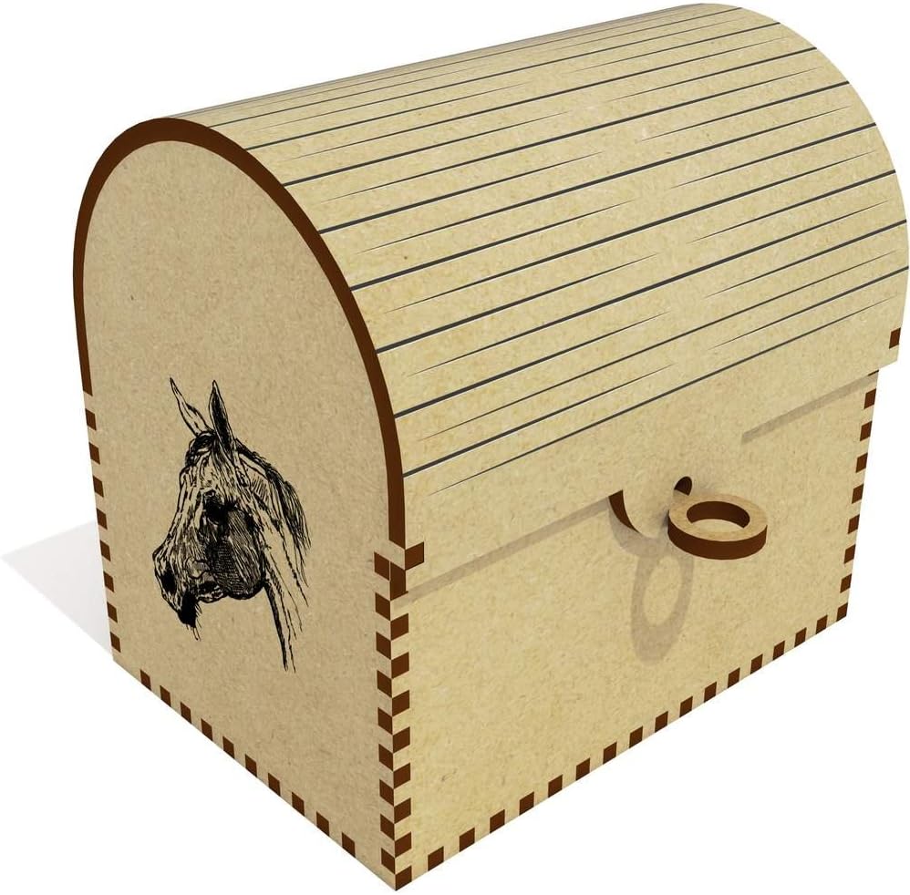 Azeeda Caballo arabe Cofre del Tesoro / Joyero (TC00026612): Amazon.es: Juguetes y juegos