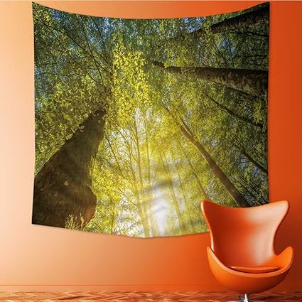 Amazon Com Muyindo Mandala Tapestry Celestial Wall Decor Under