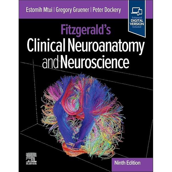 Fitzgerald's Clinical Neuroanatomy and Neuroscience: 9780702058325