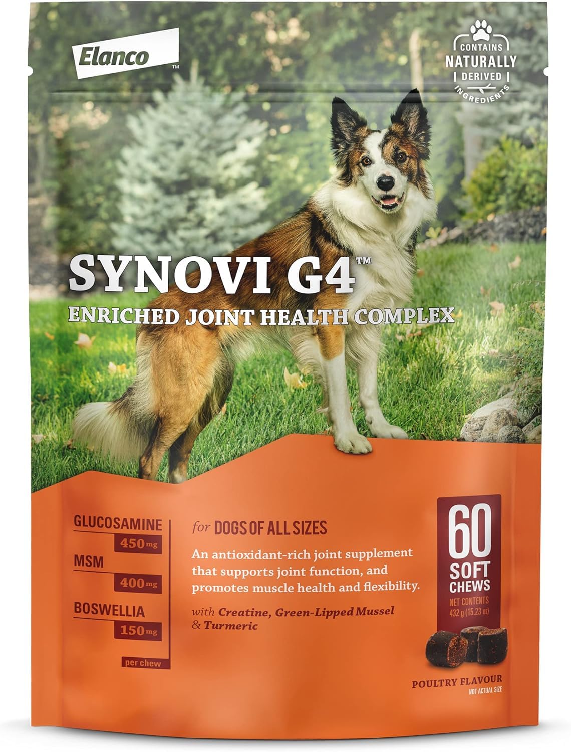 Synovi G4 Dog Joint Supplement Chews, 60-Count, for Dogs of All Ages, Sizes and Breeds