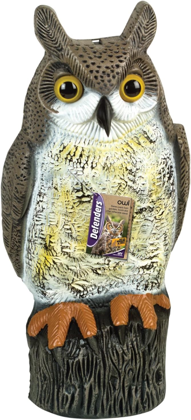 Defenders Owl, Decoy Bird Scarer, Lifelike Colouring Amazon.co.uk