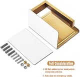 HITSLAM Brushed Gold Toilet Roll Holder with Phone Shelf SUS 304 view 8