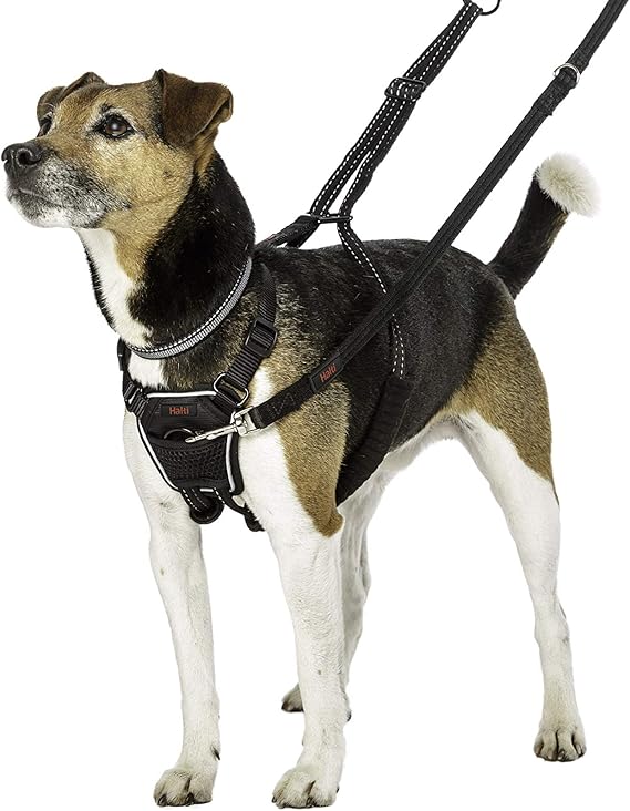 Halti Dog Harness, No Pull Harness for Small Dogs, Stop Dog Pulling on