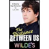 The Distance Between Us (Wilde's)