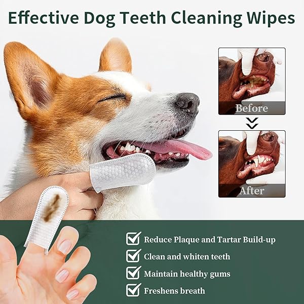 BORGOBRUFA DOG TEETH CLEANING WIPES, TEETH CLEANING FINGER WIPES FOR DOGS & CATS, DISPOSABLE NATURAL TEETH CARE WIPES GENTLE CLEANING & GUM CARE PET WIPES REDUCES PLAQUE & FRESHENS BREATH, 55 PCS
