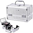 Joligrace Makeup Box Cosmetic Train Case Jewelry Organizer Lockable with Keys and Mirror 2-Tier Tray Portable Carrying with Handle Travel Storage (Classic Silver)