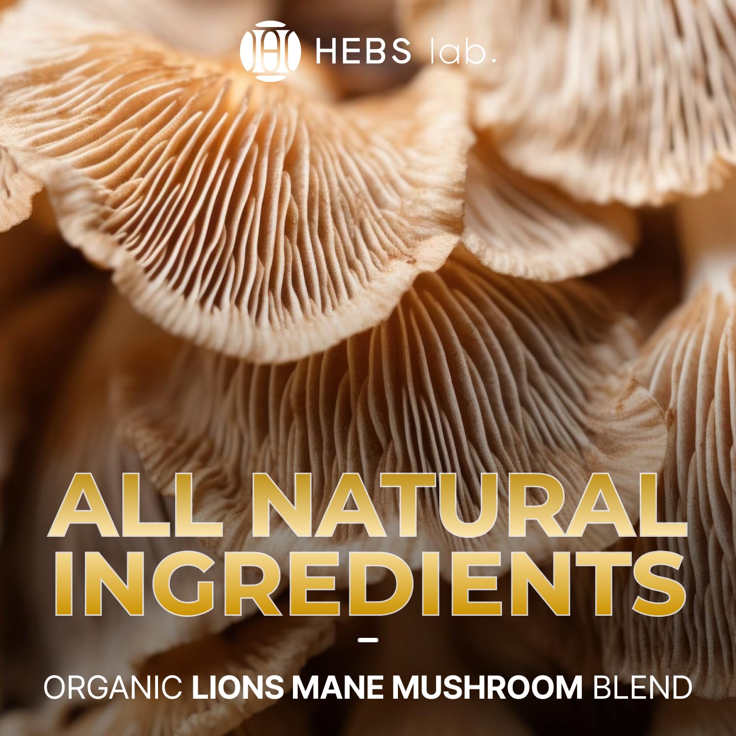 Lions Mane Mushroom Supplement - Lions Mane Extract - Herbs Brain Supplement - Lion's Mane Drops for Immune Defense - Made in USA - Memory Supplement for Brain 4 Fl Oz