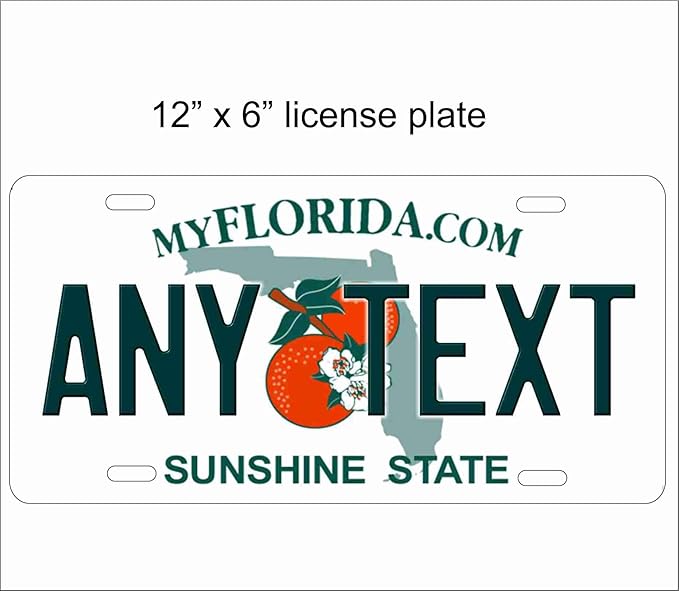 ATD Florida State Replica License Plate for Automobile 12