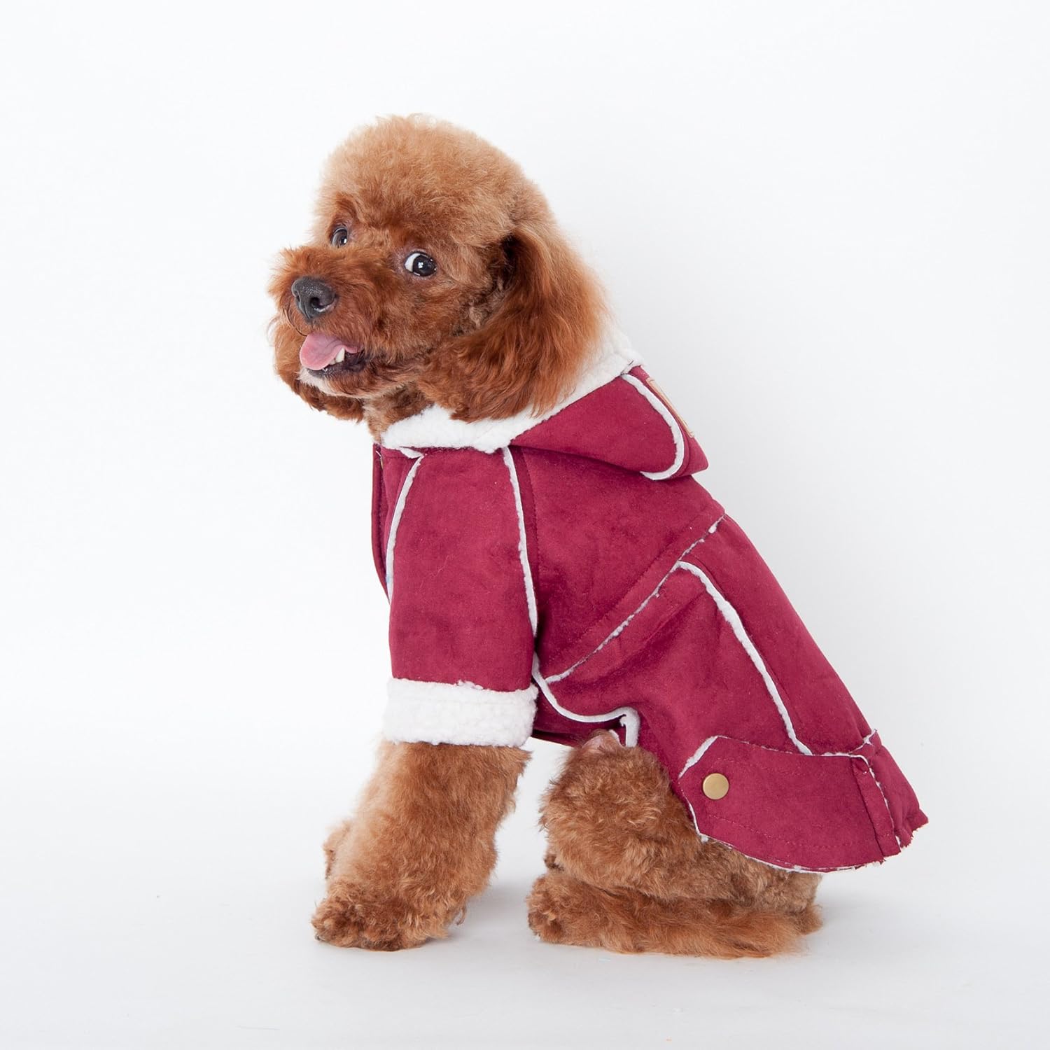 dog poop bags that attach to dog