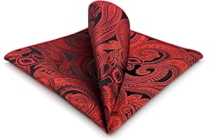 S&W SHLAX&WING Mens Pocket Square Paisley Multicolor Large for Business Wedding