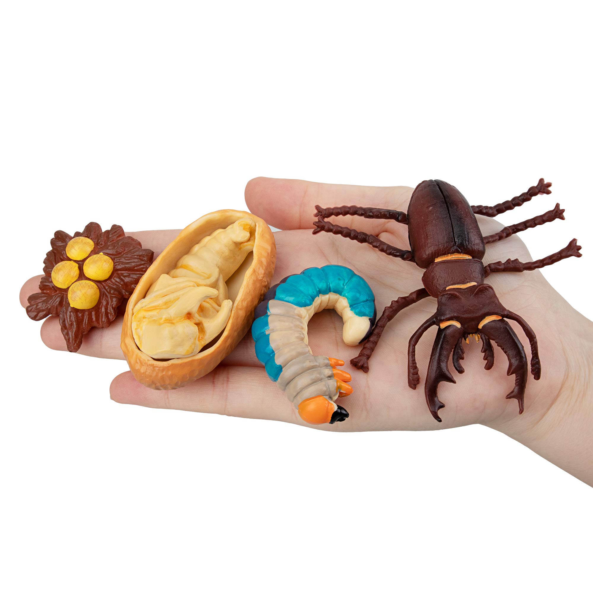 Mua TOYMANY 16PCS Insect Figurines Life Cycle of Stag Beetle,Honey Bee ...