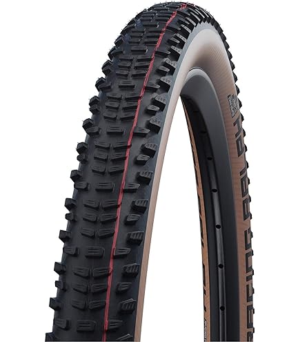 Amazon.com : Schwalbe Wicked Will Tire - 29 x 2.25, Tubeless