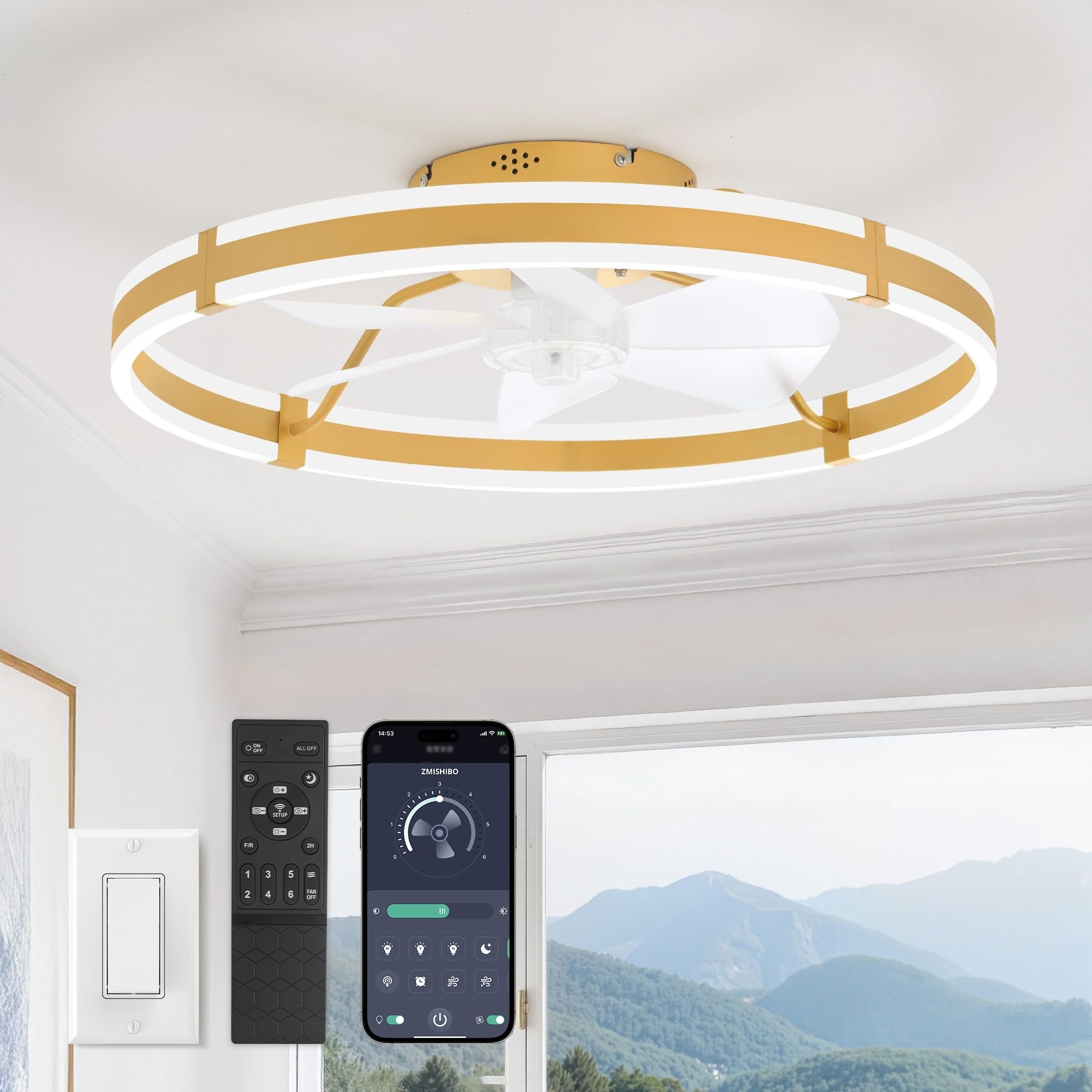 ZMISHIBO 24 Inch Ceiling Fans with Lights and