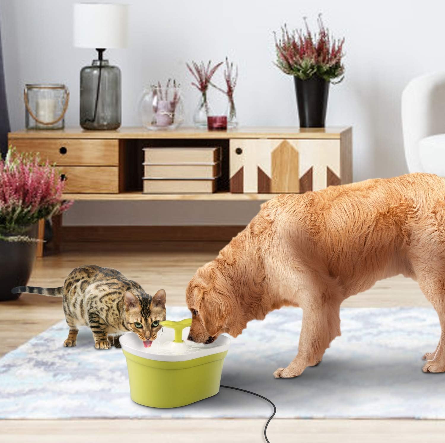 Pet Friend Cat Fountain 2.8 Litre Twin Spout Clean Purified Fresh Water Drinking Bowl For Cats And Dogs With Pump Pre-Filter - Image 3