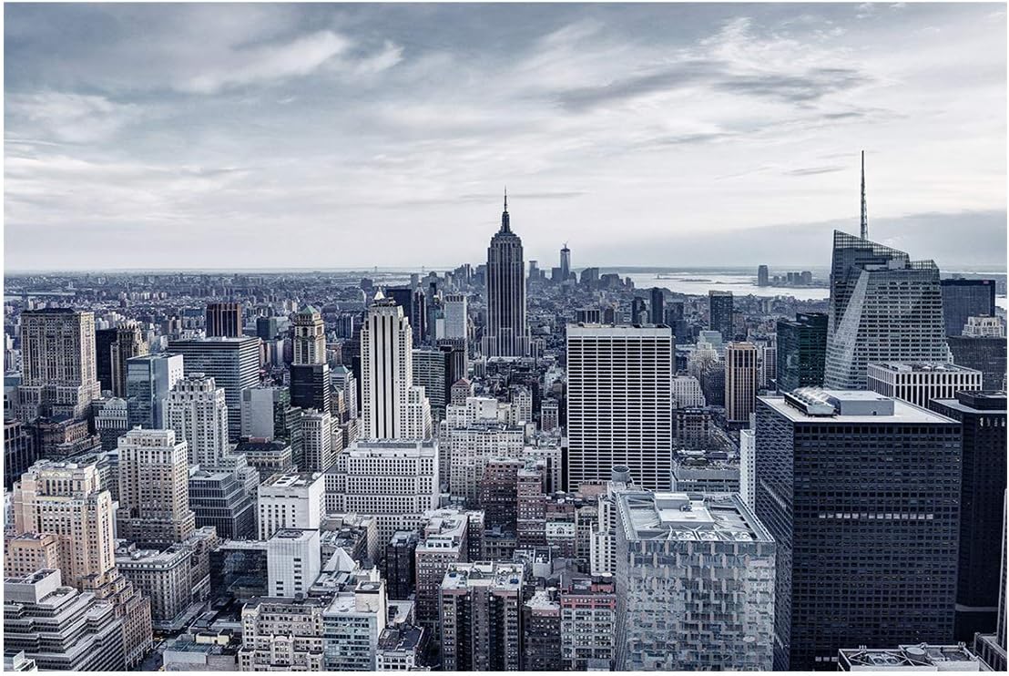 Amazon Com Libaoge Fish Tank Background New York City Manhattan Skyline Illuminated Aquarium Backdrop Sticker Wallpaper Vinyl Photo Decoration Pvc Adhesive Decor Paper Poster 60 8 W X 24 4 H Pet Supplies