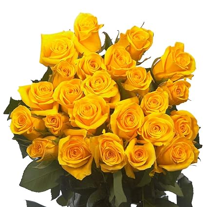 Amazon Com Globalrose 50 Fresh Cut Yellow Roses For Mother S Day Ibiza Roses Fresh Flowers Express Delivery Perfect For Mother S Day Grocery Gourmet Food