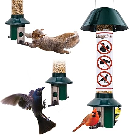 Amazon.com : Roamwild Squirrel Proof 