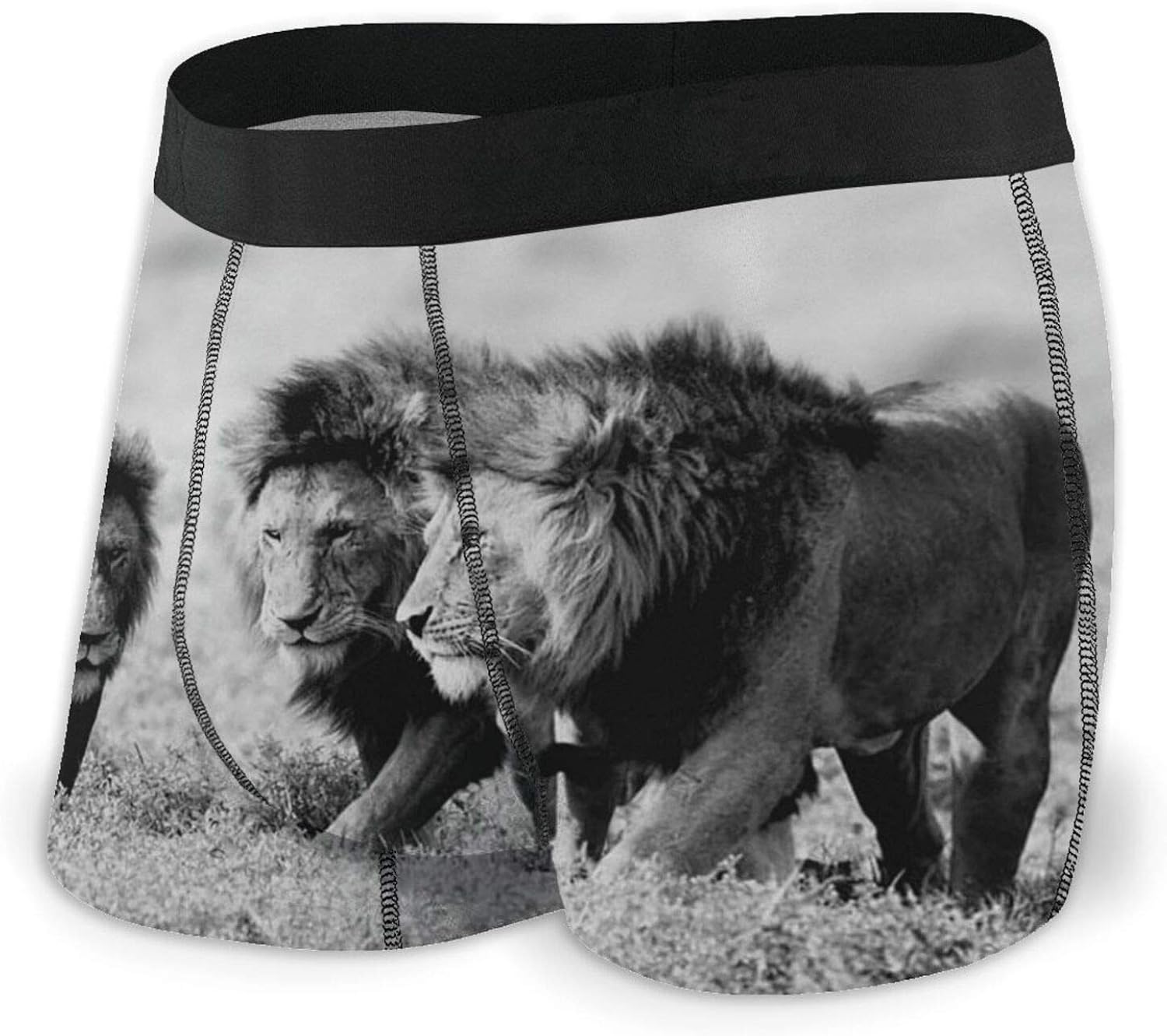 Animals Lion Men's Underwear Soft Boxer Briefs Men's Vibe Boxer Briefs