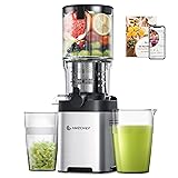 AMZCHEF Cold Press Juicer, Juicers Machines