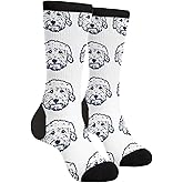 AIMASTZ Cute Goldendoodle Unisex Funny Novelty Socks, Funky Crazy Cool Crew Dress Socks