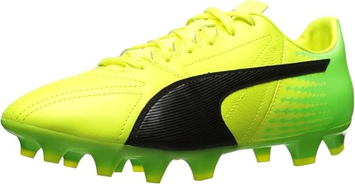 evospeed 17.2