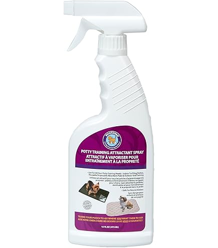 Amazon.com: So Phresh Go Right Here Potty Training Spray 16 oz