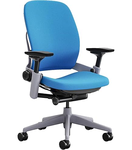 Amazon.com: Steelcase Leap Office Chair - Ergonomic Work Chair