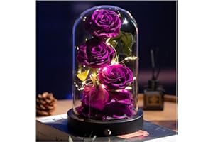 Agrul Valentines Day Purple Roses Gifts for Her-Preserved Flower Rose in Glass Dome-Forever Real Roses Gifts for Women Mom Wife Grandma/Birthday