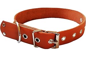 Top Grain Leather Dog Collar, Neck Size 15"-23" Width 1.25" (Tan)