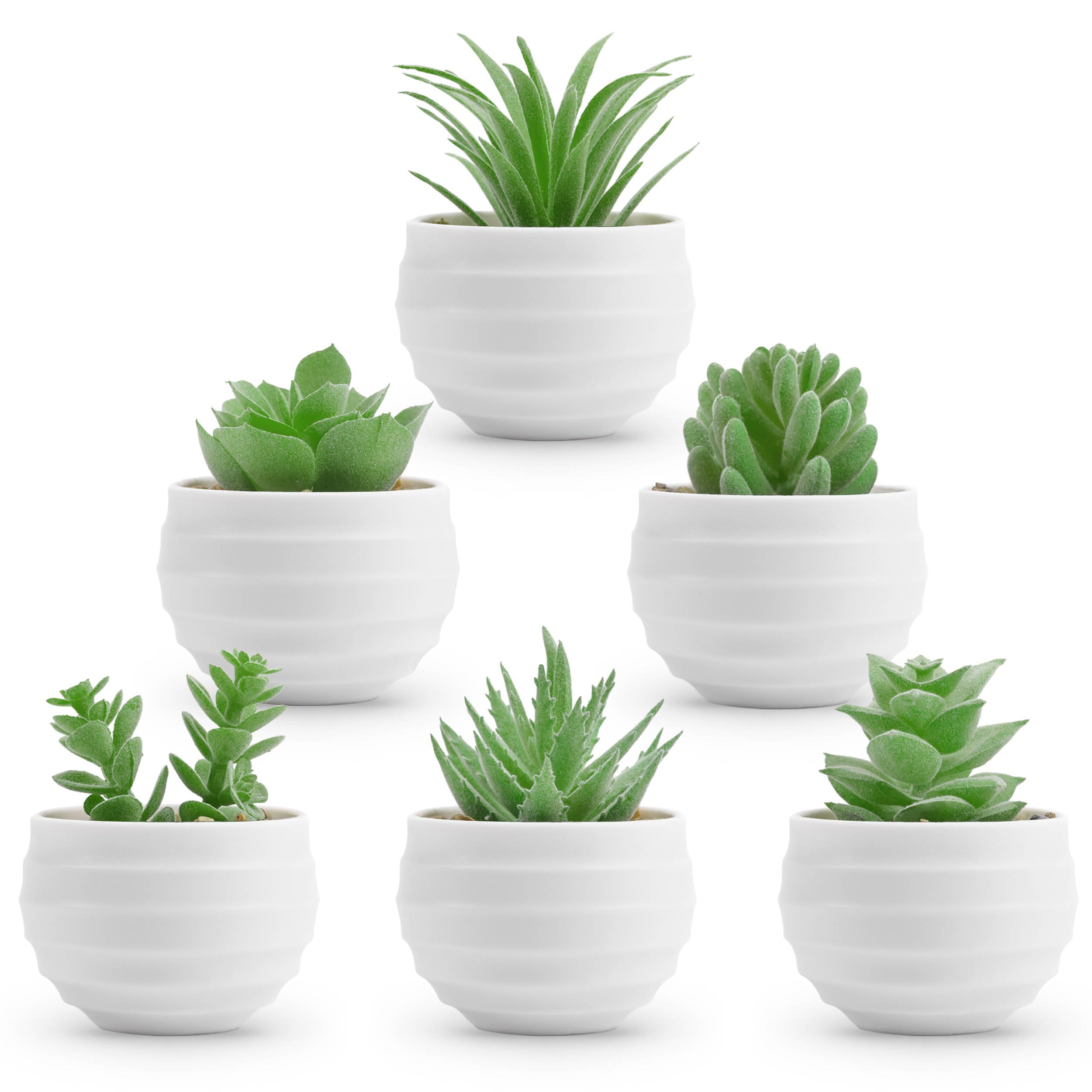Photo 1 of Der Rose 6 Pack Fake Plants Small Realistic Succulents Plants Artificial for Home Room Decor Indoor