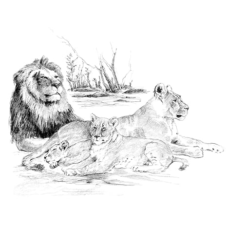 Royal Brush 16 Inch By 1275 Inch Sketching Made Easy Large