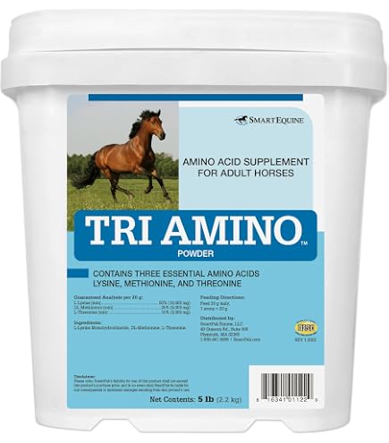 l carnitine equine supplement Amazon.com : SmartEquine Muscle EQ™ Powder | Muscle Supplement with L- Carnitine for Horses | Amino Acid Beta-Alanine for Optimal Muscle Function  & Supports Recovery