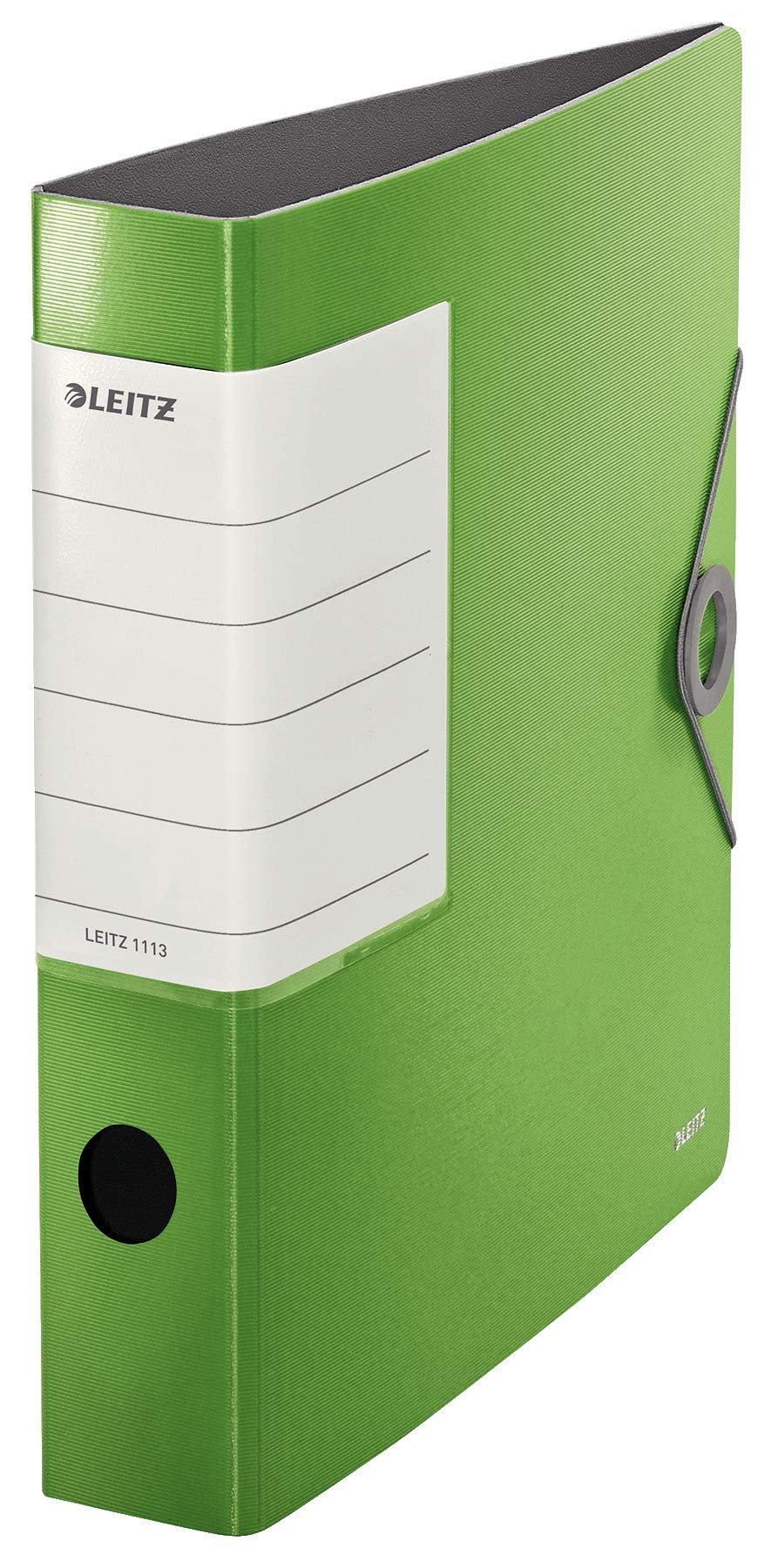 Leitz 11130050 Multi-Purpose Folder Solid A4 2 Holes Light Green