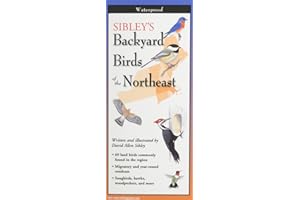 Sibley's Backyard Birds of New England & Northern New Yok