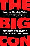 The Big Con: How the Consulting Industry Weakens