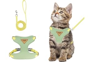wanheart Cat Harness and Leash Set Escape-Proof Adjustable cat Leash and Harness Combo Suitable for All cat Breeds (Green, M)