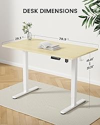 ErGear Height Adjustable Electric Standing Desk, 71