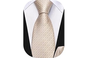 Dubulle Tie for Boys Self Tie Boys Necktie and Pocket Square Set for Age 8-14 Wedding Graduation