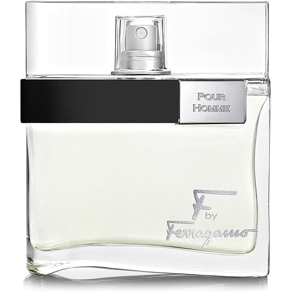 Amazon.com: Salvatore Ferragamo Black For Men Eau De